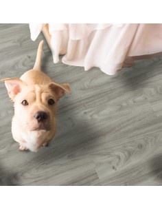 Galaxy Line. Serie Orion Wide Silence. Neptuno