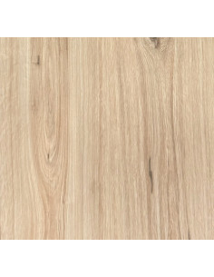 Floorpan. Plus 5 Hidrófugo 72 horas